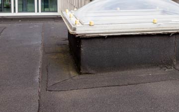 disadvantages of Edinbane flat roofs