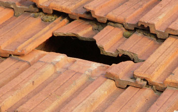 roof repair Edinbane, Highland